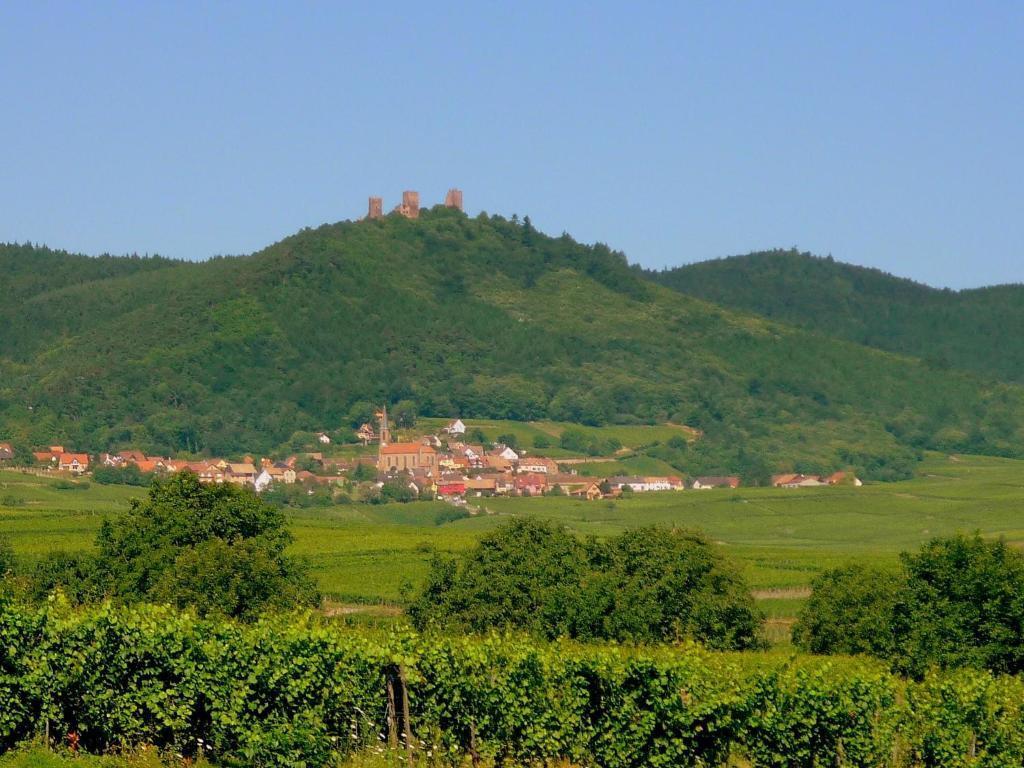 Chambres D'Hotes Gilles Schneider Husseren-les-Châteaux Zewnętrze zdjęcie